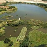 La Laguna Primera de Palos, en la provinia de Huelva, es uno de los proyectos de protecci&oacute;n y conservaci&oacute;n m&aacute;s destacados de la Fundaci&oacute;n Moeve.