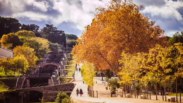 Languedoc, las esclusas de Fonseranes Languedoc, las esclusas de Fonseranes