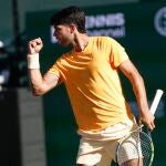 Alcaraz celebra un punto ante Cameron Norrie