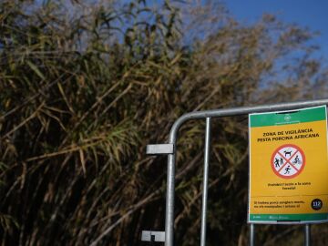 Econom&iacute;a.- Barcelona cierra totalmente Collserola y proh&iacute;be su actividad l&uacute;dica tras hallar un positivo de peste porcina