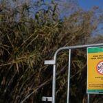 Econom&iacute;a.- Barcelona cierra totalmente Collserola y proh&iacute;be su actividad l&uacute;dica tras hallar un positivo de peste porcina