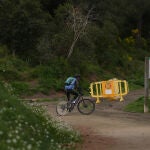 El Govern cierra el parque de Collserola (Barcelona) tras detectarse un caso de PPA