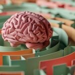 Un estudio revela una mayor mortalidad por ictus en pacientes con trastornos mentales en Espa&ntilde;a