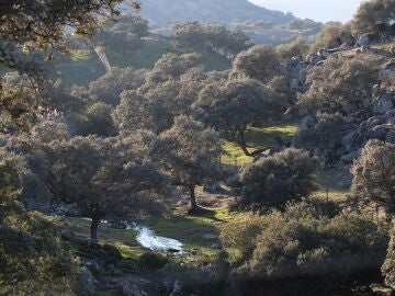 Parque Natural de la Sierra de And&uacute;jar