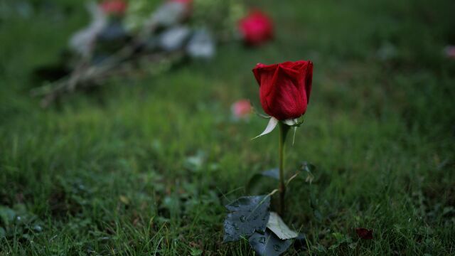 MADRID.-Trabajadores del servicio de jardiner&iacute;a de los cementerios municipales se movilizan el martes por mejoras en el convenio