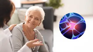 Confirmado por un médico que estudió en Harvard: estos son los principales alimentos que estimulan la creación de neuronas Confirmado por un médico que estudió en Harvard: estos son los principales alimentos que estimulan la creación de neuronas