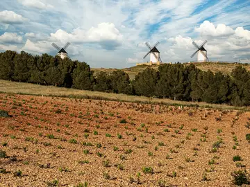 Ruta del vino de La Mancha Ruta del vino de La Mancha