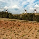 Ruta del vino de La Mancha