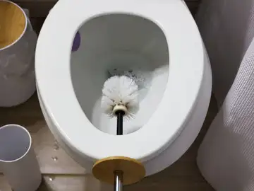 Adiós a la escobilla del baño: esta es la forma de evitar su uso en el baño Adiós a la escobilla del baño: esta es la forma de evitar su uso en el baño