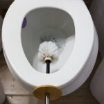 Adi&oacute;s a la escobilla del ba&ntilde;o: esta es la forma de evitar su uso en el ba&ntilde;o