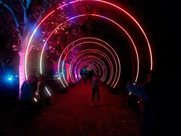 Los eventos del auditorio del parque Tierno Galván no pueden superar un aforo de 7.488 personas Los eventos del auditorio del parque Tierno Galván no pueden superar un aforo de 7.488 personas