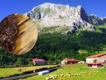 Ni marmitako ni bacalao al pil-pil: este es el plato de origen vasco que es "leyenda de nuestra cultura" Ni marmitako ni bacalao al pil-pil: este es el plato de origen vasco que es "leyenda de nuestra cultura"