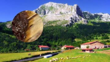 Ni marmitako ni bacalao al pil-pil: este es el plato de origen vasco que es "leyenda de nuestra cultura"