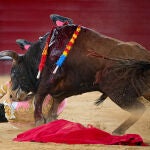 Julio Norte bordea la tragedia y empuja la Puerta Grande