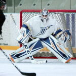  Ver hockey online: las mejores aplicaciones para verlo en el móvil gratis y en directo