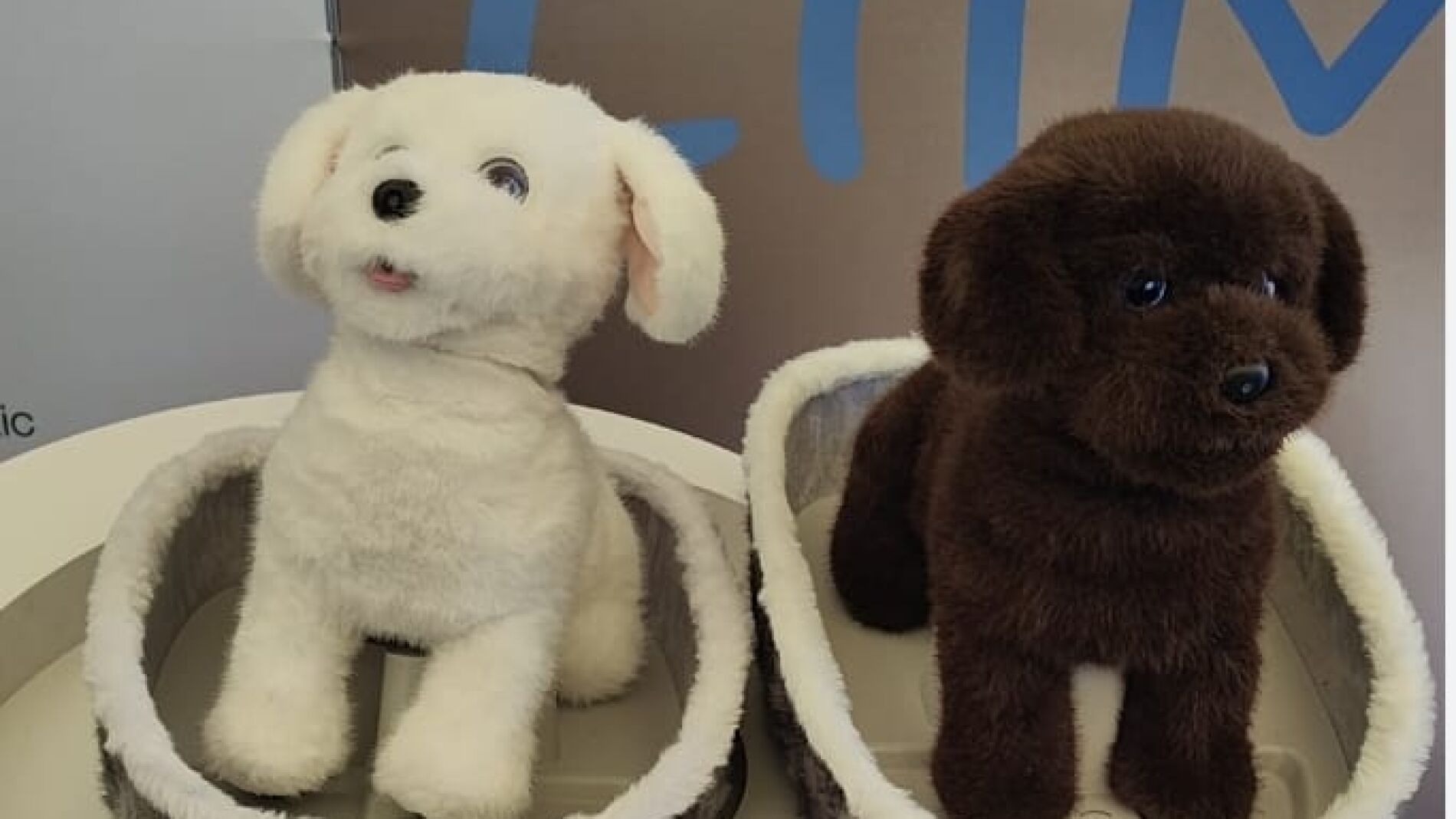 Lilmilo el robot que anticipa uno de los futuros de la salud mental