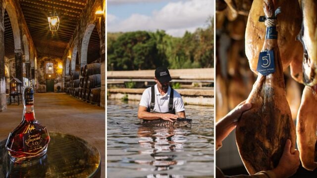 Ruta gastron&oacute;mica por Andaluc&iacute;a