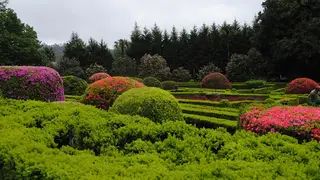 Imagen del jardín. Imagen del jardín.