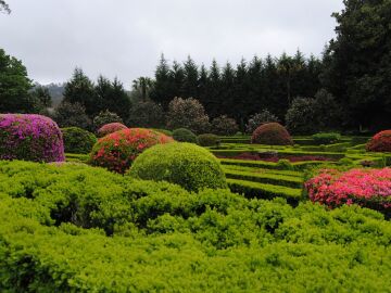Imagen del jard&iacute;n. 