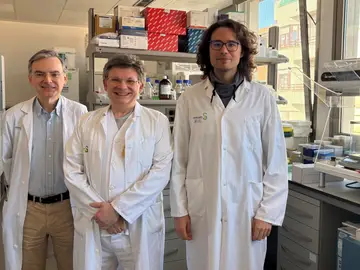 Profesionales del Hospital de Albacete desarrollan una técnica para facilitar el diagnóstico del síndrome de Satoyoshi Profesionales del Hospital de Albacete desarrollan una técnica para facilitar el diagnóstico del síndrome de Satoyoshi REMITIDA / HANDOUT por JCCM Fotografía remitida a medios de comunicación exclusivamente para ilustrar la noticia a la que hace referencia la imagen, y citando la procedencia de la imagen en la firma 20/03/2026