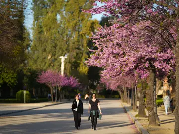 Primavera en Sevilla La manifestación de la primavera se dejo sentir en jornadas previas a la entrada oficial de la estación, pintando y calentando la capital andaluza con su color y calor característico estimulando a flora y fauna. A 20 de marzo de 2026 en Sevilla (Andalucía, España). La primavera de 2026 en Andalucía comienza oficialmente este viernes 20 de marzo a las 15:46 (hora peninsular), marcando el inicio de una estación caracterizada por el aumento de temperaturas y la floración. Según la AEMET, se prev...