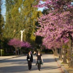 Primavera en Sevilla