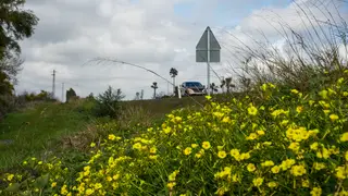 Primavera en Andalucía La manifestación de la primavera se dejo sentir en jornadas previas a la entrada oficial de la estación, pintando y calentando la capital andaluza con su color y calor característico estimulando a flora y fauna. A 20 de marzo de 2026 en Sevilla (Andalucía, España). La primavera de 2026 en Andalucía comienza oficialmente este viernes 20 de marzo a las 15:46 (hora peninsular), marcando el inicio de una estación caracterizada por el aumento de temperaturas y la floración. Según la AEMET, se prev...