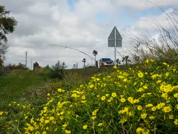 Primavera en Andalucía La manifestación de la primavera se dejo sentir en jornadas previas a la entrada oficial de la estación, pintando y calentando la capital andaluza con su color y calor característico estimulando a flora y fauna. A 20 de marzo de 2026 en Sevilla (Andalucía, España). La primavera de 2026 en Andalucía comienza oficialmente este viernes 20 de marzo a las 15:46 (hora peninsular), marcando el inicio de una estación caracterizada por el aumento de temperaturas y la floración. Según la AEMET, se prev...