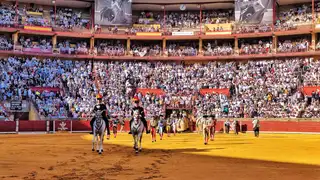 Córdoba recupera su esplendor taurino, Lances de Futuro amplía la Feria de la Salud a cinco festejos Córdoba recupera su esplendor taurino, Lances de Futuro amplía la Feria de la Salud a cinco festejos