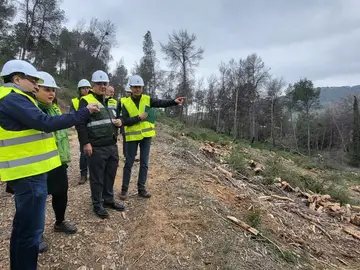 El consejero de Medio Ambiente, Universidades, Investigación y Mar Menor, Juan María Vázquez, visitó a primeros de mes las actuaciones de prevención de incendios y de lucha contra el decaimiento forestal en el Puerto de la Cadena. El consejero de Medio Ambiente, Universidades, Investigación y Mar Menor, Juan María Vázquez, visitó a primeros de mes las actuaciones de prevención de incendios y de lucha contra el decaimiento forestal en el Puerto de la Cadena. Carme Ripollés / Europa Press 21/03/2026