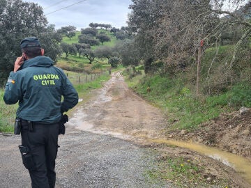 ALMAD&Eacute;N (CIUDAD REAL), 21/03/2026.- El cuerpo de un hombre totalmente calcinado e irreconocible ha aparecido a primera hora de esta ma&ntilde;ana en un camino del t&eacute;rmino municipal de Almad&eacute;n (Ciudad Real). EFE/Miguel &Aacute;ngel Risco 