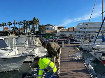 Murcia defiende la operatividad de los puertos y reclama menos trabas administrativas en la normativa estatal El director general de Litoral y Puertos, Pablo Marín, durante la revisión de los desperfectos provocados por el temporal en el puerto de Cabo de Palos, el pasado mes de febrero. Carme Ripollés / Europa Press 21/03/2026