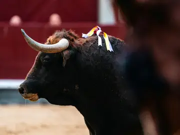 Vuelve la emoción a Madrid: este es el cartel con el que Las Ventas abre temporada bajo el signo de la máxima exigencia Vuelve la emoción a Madrid: este es el cartel con el que Las Ventas abre temporada bajo el signo de la máxima exigencia