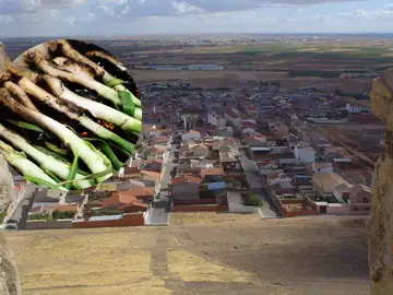 Imagen del municipio de Consuegra junto a unos calçots Imagen del municipio de Consuegra junto a unos calçots