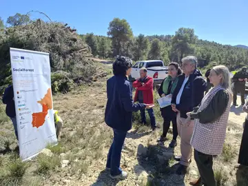 CARM impulsa en Cehegín una acción piloto para adaptar los pinares al cambio climático y reducir el riesgo de incendios El consejero de Medio Ambiente, Universidades, Investigación y Mar Menor, Juan María Vázquez, junto a la alcaldesa de Cehegín, Alicia del Amor, visita los trabajos correspondientes al proyecto Social Forest. Carme Ripollés / Europa Press 22/03/2026