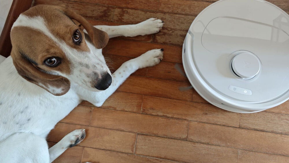 Si vives con mascotas, un robot como este es imprescindible