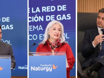 Los ponentes de la presentaci&oacute;n del informe