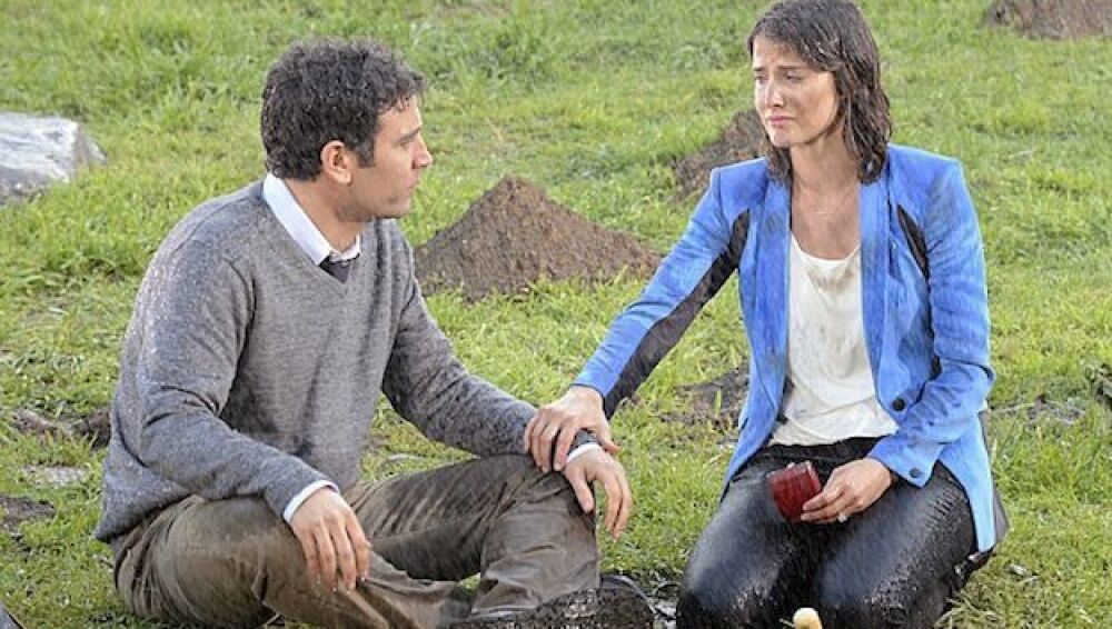 Robin y Ted, reencontrándose