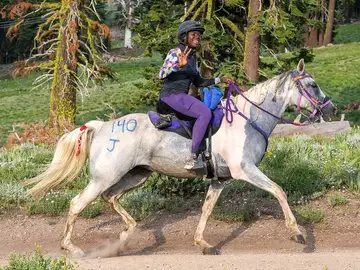 La yegua "Love Story" La yegua "Love Story"