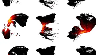 La imagen muestra cómo se usan distintos elementos del genoma durante el nacimiento de neuronas en cerebro de ratón (izquierda), mono (centro) y humano (derecha). Cada punto es una célula del neocórtex en desarrollo. Las ondas de color representan programas de expresión génica conservados que comienzan en células madre neurales, pasan por estados intermedios y llegan a neuronas nuevas. En humanos, la maduración de estas neuronas corticales tarda años, permitiéndonos aprender de la experiencia mucho más que otras especies. La imagen muestra cómo se usan distintos elementos del genoma durante el nacimiento de neuronas en cerebro de ratón (izquierda), mono (centro) y humano (derecha). Cada punto es una célula del neocórtex en desarrollo. Las ondas de color representan programas de expresión génica conservados que comienzan en células madre neurales, pasan por estados intermedios y llegan a neuronas nuevas. En humanos, la maduración de estas neuronas corticales tarda años, permitiéndonos aprender de la experiencia mucho más que otras especies.