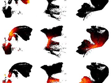 La imagen muestra c&oacute;mo se usan distintos elementos del genoma durante el nacimiento de neuronas en cerebro de rat&oacute;n (izquierda), mono (centro) y humano (derecha). Cada punto es una c&eacute;lula del neoc&oacute;rtex en desarrollo. Las ondas de color representan programas de expresi&oacute;n g&eacute;nica conservados que comienzan en c&eacute;lulas madre neurales, pasan por estados intermedios y llegan a neuronas nuevas. En humanos, la maduraci&oacute;n de estas neuronas corticales tarda a&ntilde;os, permiti&eacute;ndonos aprender de la experiencia mucho m&aacute;s que otras especies.