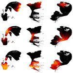 La imagen muestra c&oacute;mo se usan distintos elementos del genoma durante el nacimiento de neuronas en cerebro de rat&oacute;n (izquierda), mono (centro) y humano (derecha). Cada punto es una c&eacute;lula del neoc&oacute;rtex en desarrollo. Las ondas de color representan programas de expresi&oacute;n g&eacute;nica conservados que comienzan en c&eacute;lulas madre neurales, pasan por estados intermedios y llegan a neuronas nuevas. En humanos, la maduraci&oacute;n de estas neuronas corticales tarda a&ntilde;os, permiti&eacute;ndonos aprender de la experiencia mucho m&aacute;s que otras especies.