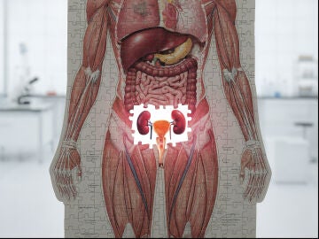 Trasplante de vejiga