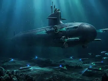 Pueden permanecer hibernando una temporada hasta obtener la información necesaria Drones