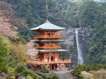 De Galicia a Japón: 20.000 peregrinos se suman cada año a la tendencia del Camino de Santiago oriental De Galicia a Japón: 20.000 peregrinos se suman cada año a la tendencia del Camino de Santiago oriental