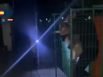 Contra el reloj y con el barranco creciendo: así fue la evacuación de 15 perros en Gran Canaria tras el paso de Therese Evacuación de 15 perros en Gran Canaria tras el paso de la borrasca Therese