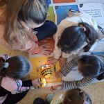 Efigy Schools integra un amplio conjunto de acciones educativas y de formaci&oacute;n en transici&oacute;n energ&eacute;tica