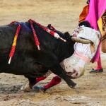 Escalofriante cornada de Cristian P&eacute;rez en la tarde que no debi&oacute; ser