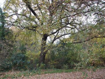 El municipio catal&aacute;n que acaba de aumentar su financiaci&oacute;n millonaria por este motivo