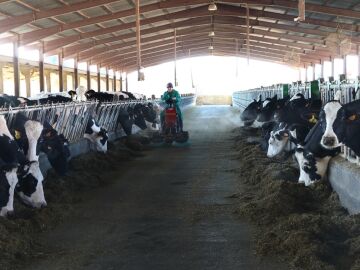 Explotaci&oacute;n ganadera de Castilla y Le&oacute;n